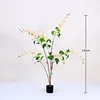 Golden weeping jasmine bonsai, 120cm