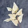 Champagne aux feuilles de calla