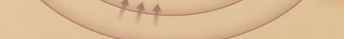 Extended company profile