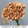 Hortensia à 5 têtes sans feuilles