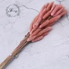 vermilion