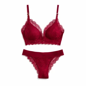 Top Hot Sexy Underwear with Intricate Floral Lace Overlay Premium Gold Metallic Adjusters Women Lingerie for Lady Sexy Panties