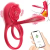 Red-APP