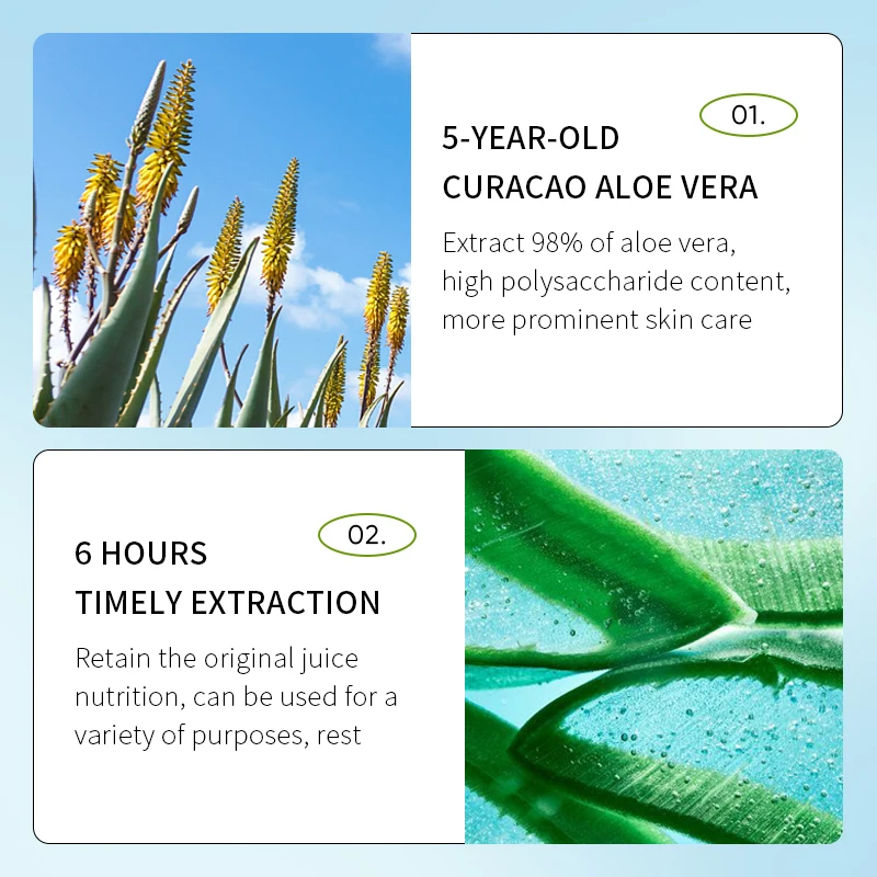 aloe vera plant for healing wounds Medicinal Aloe Vera main image 1
