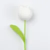White-Fat Curcuma Aromatica single (large)