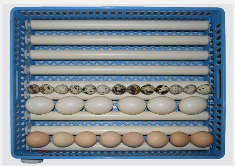 Инкубатор 120 яиц купить. Промышленный инкубатор для яиц. Инкубационный лоток для яиц. Лотки инкубационные Petersime. Инкубационный лоток для форели.