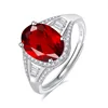 JH0369-5Garnet