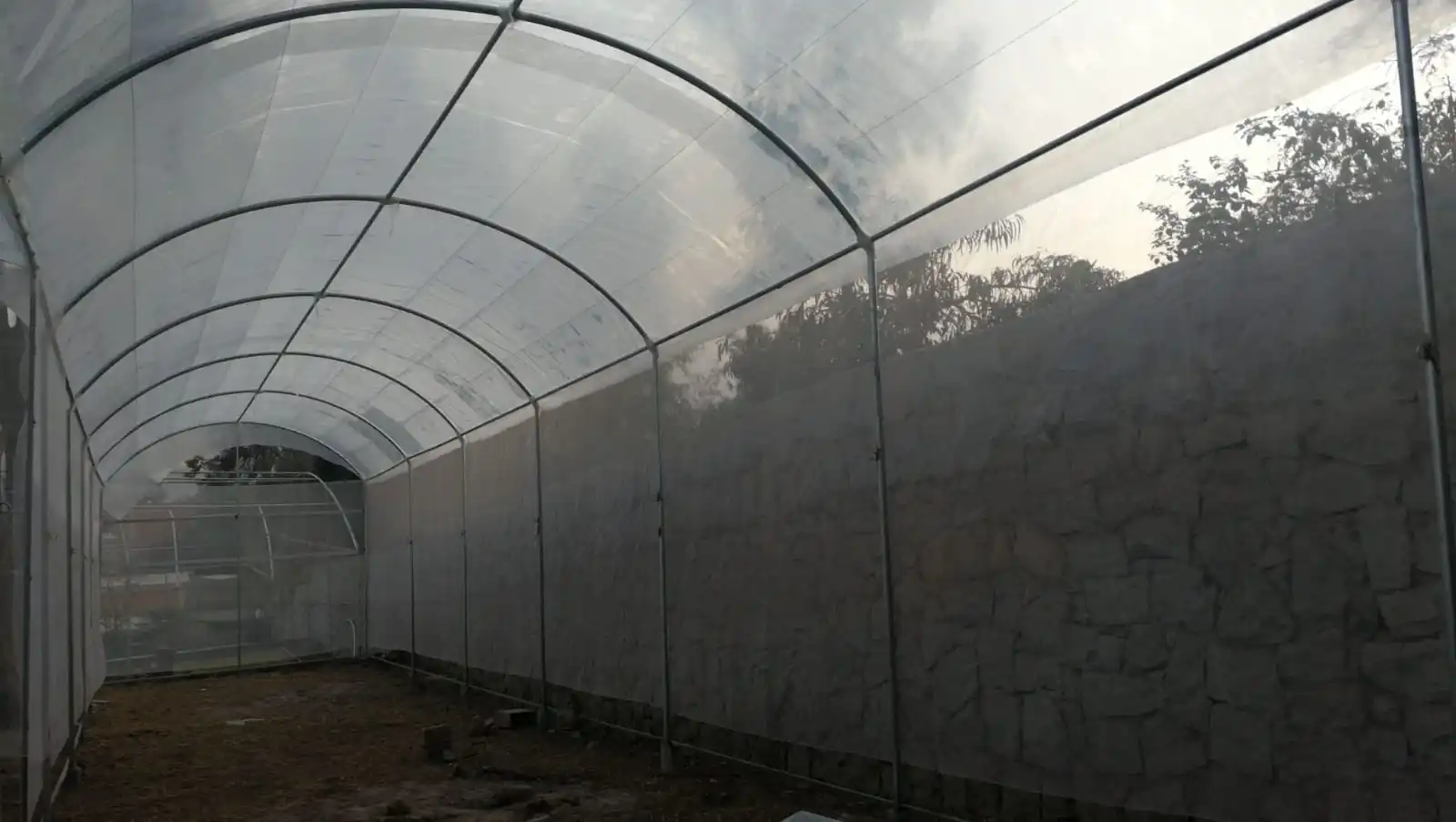 Greenhouse