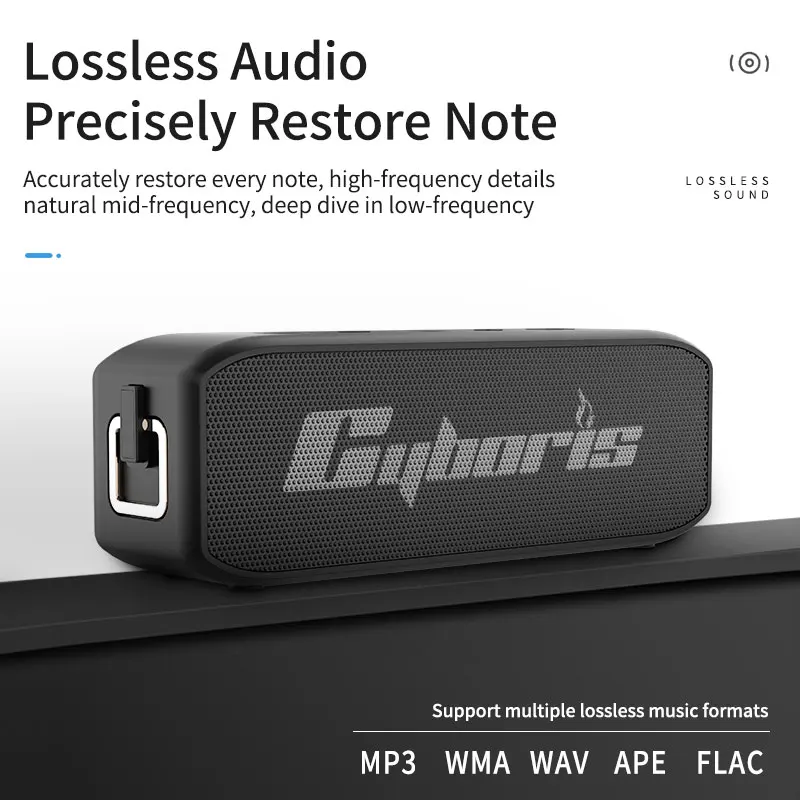 サイボリス 2025 HiFi ポータブル ワイヤレススピーカー 20W