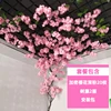 Cherry Blossom Set Menu - ins-02