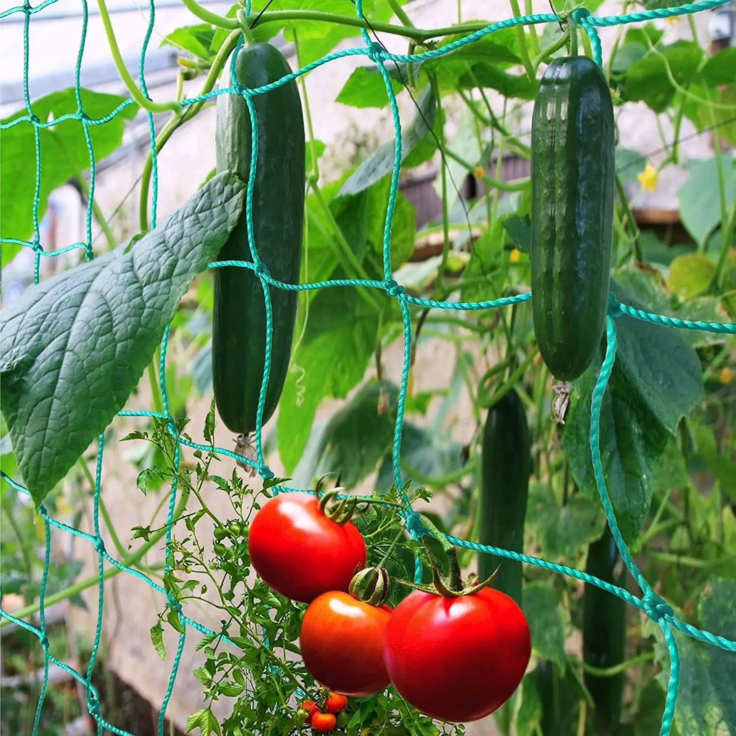 Bird Netting Poultry Net, Heavy Duty Nylon Mesh Garden Netting Protect Fruit Trees, Plants and Vegetables