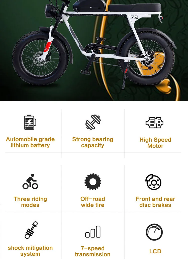 Super E-bike 73 C1x K1d Adventure E Bike Velo Electrique Full ...