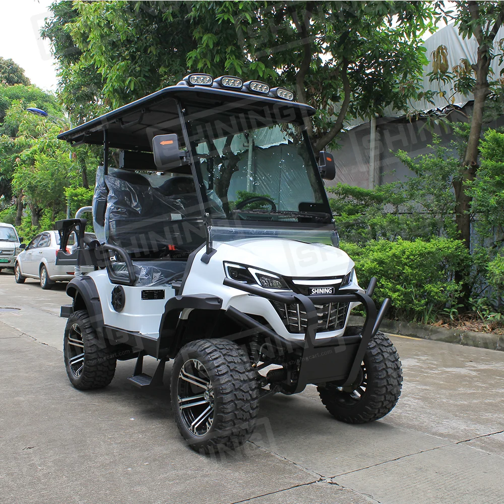Shininglsv Electric 4-Passenger Chinese Golf Cart Single Cruiser for Canada Roads Manufactured in Japan