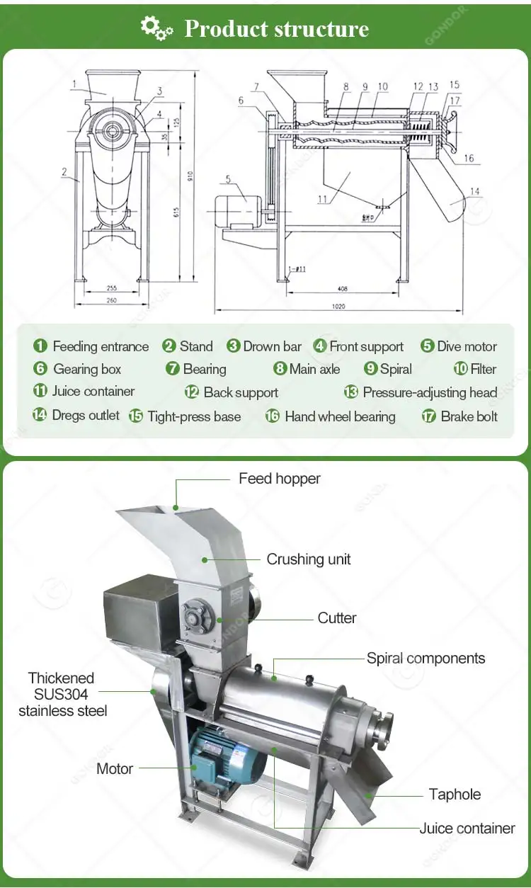 Industrial Bitter Gourd Guava Pineapple Juice Extractor Machine Presse Jus Orange Cool Press Juicer