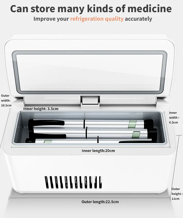 Cgoldenwall Allette D'insuline Portable Pour Stylos D'épi, Aiguille D