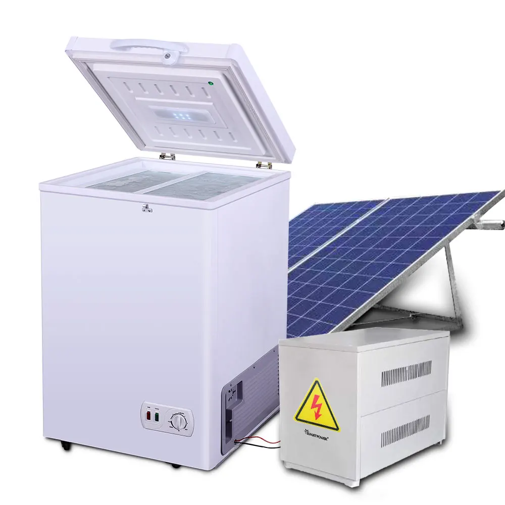 100l300l Solar Powered Portable Refrigerator Solar Deep Freezer Dc Compressor Solar Freezer