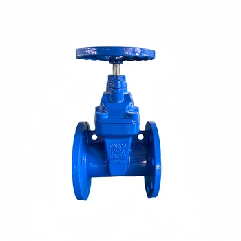 Bs5163 Resilient Seated Flanged Gate Valves Cast Iron Gate Valve Dn100 ...