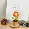B orange small daisy potted
