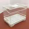 Bianco