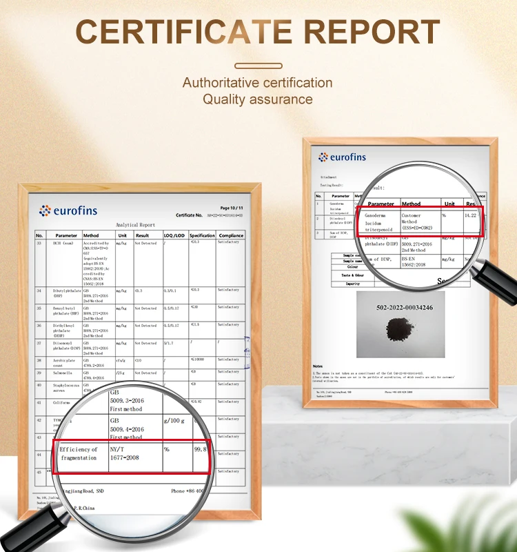 Wholesale Supplier Ganoderma Lucidum Spore Oil Reishi Mushroom Extract Powder Oil Lucidum Ganoderma