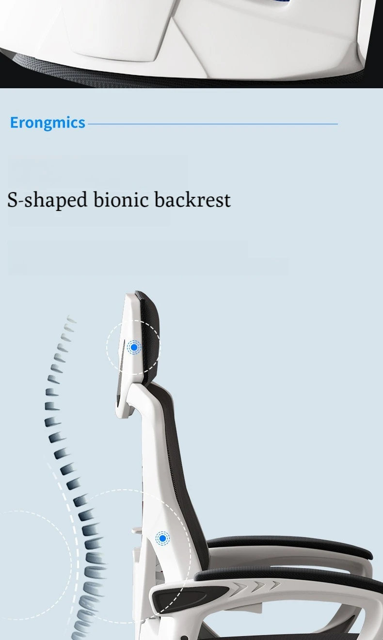 Durable Adjustable Modern Anji Executive Swivel Reclining Sleep Office Desk Chair Home Computer Ergonomic Mesh Chair Comfortable