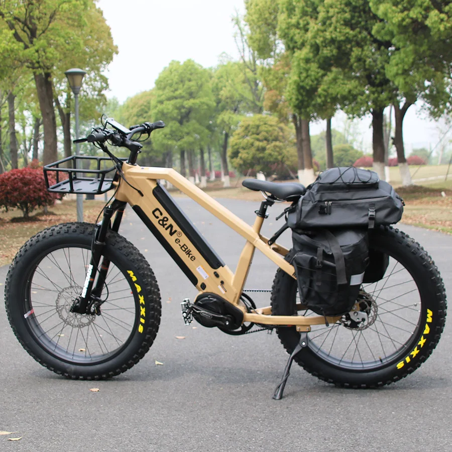 Dual Battery Electric Bike 1000W Gates Carbon Belt Drive