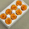 B mei 4-5 ágata amarilla (8 flores)
