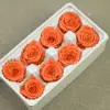 B mei 4-5 emma naranja (8)