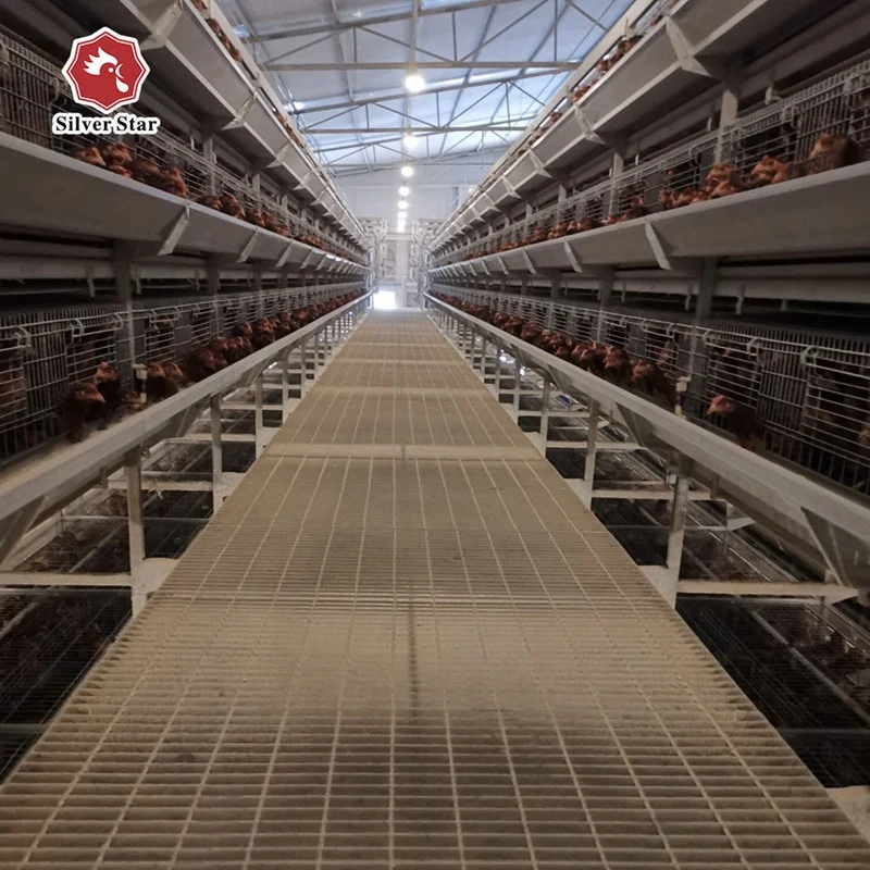 Full Automatic 3-8 Tier Poultry H Type Battery Cage for Layers