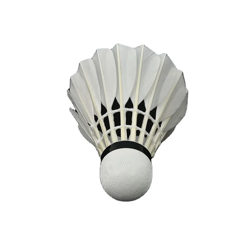 Set di racchette da badminton per bambini Racchette da tennis da badminton per bambini leggere  18