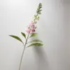 Viola chiaro