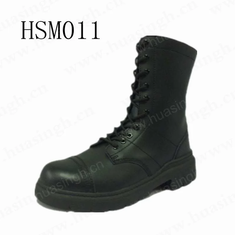 hsm011