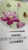 10D ice silk