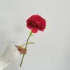 สีแดงสด