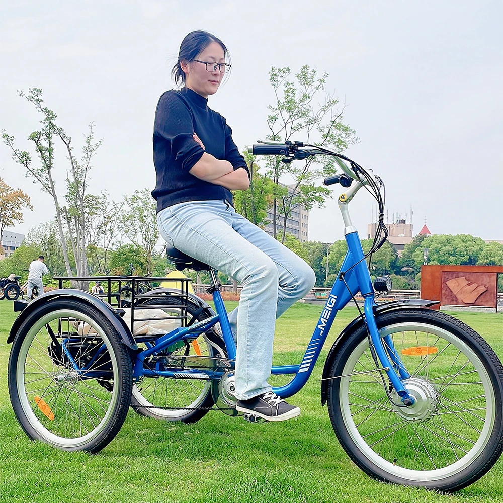 Electric Cargo Carrier Gomier Electric Trike EZREAL 24-Inch