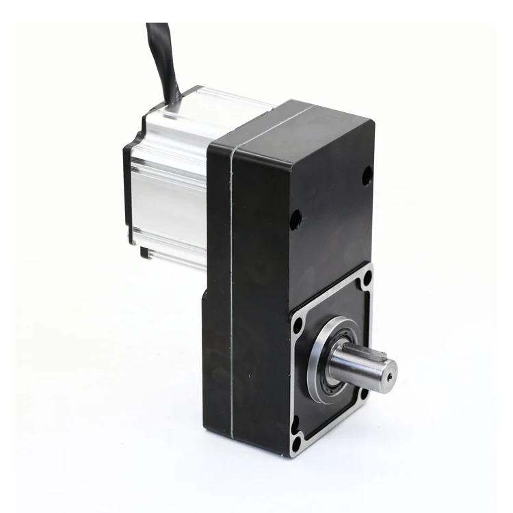 W High Torque V Bldc Motor Buy Bldc Motor Advertising Gate Motor High Torque Dc Motor