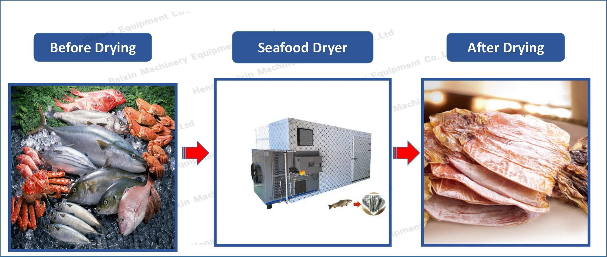 How to Dry Meat in The Oven-Henan Baixin Machinery