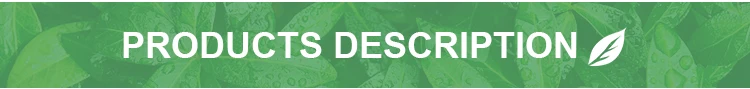 product description
