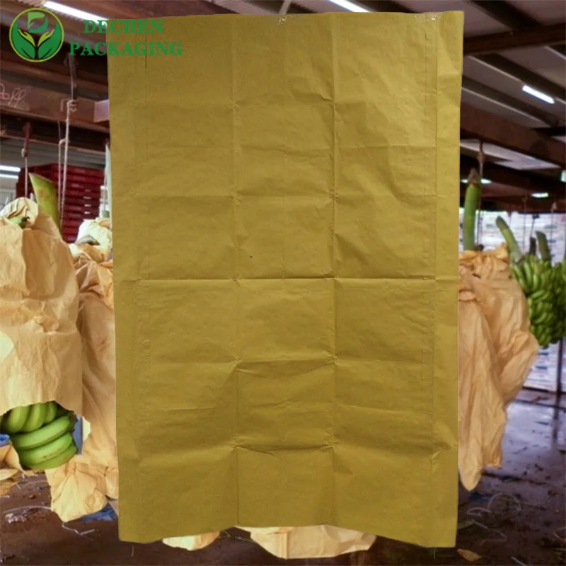 L'agriculture de mangue fra?che utilise du papier de protection Sri Lanka Fruit Growing Bag