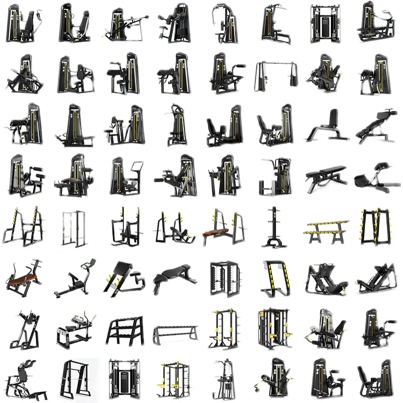 SK Commercial Complete Set of Machine for Chest Press Strength Training High and Low Back Extension Gym Equipment