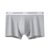Light Grey-K8124