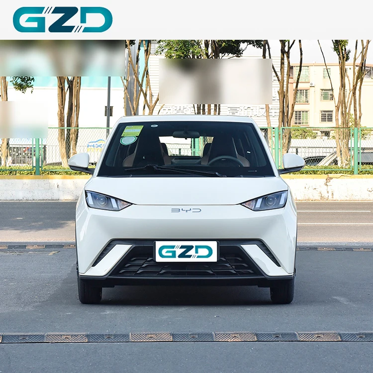 Byd Seagull 2025 International Version Pure Electric Vehicle Mini Car
