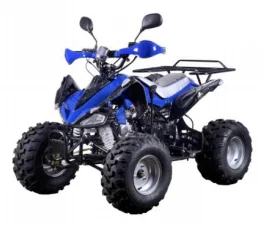 
Горячая Распродажа! Квадроциклов 4 wheeler quad велосипед, способный преодолевать Броды для взрослых 250cc обратный трехколесного велосипеда 125cc 250cc вождения пляжные мотоцикла 