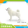 PL127-970 Shiba Inu 538g