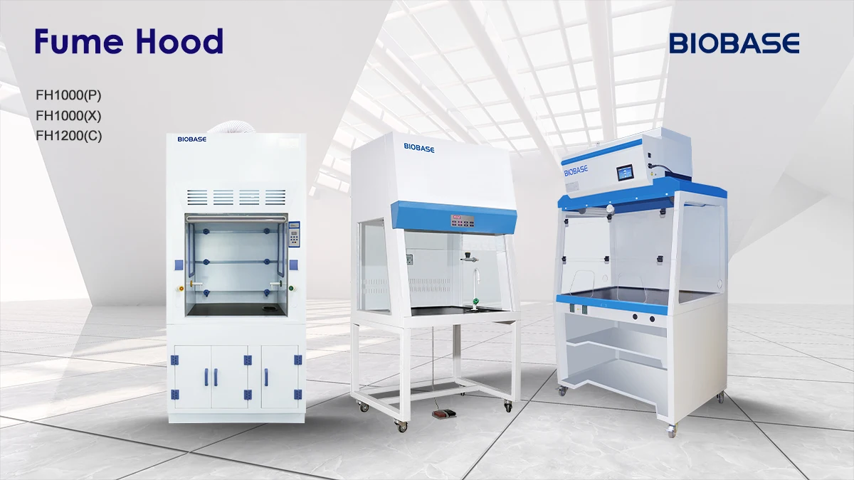 Biobase Ducted Fume Hood Ulpa Hepa High Quality Custom Wholesale Oem