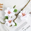 Magnolia bianca xz a tre teste