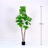 Heartleaf Ficus spring green 150cm