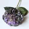Purple green #7