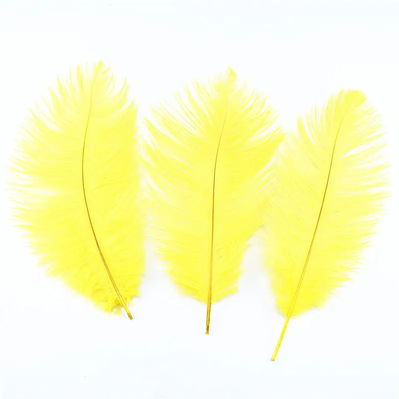 yellow feathers  Feather background, Yellow feathers, Yellow