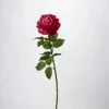 Lulu lianmei-rose rouge